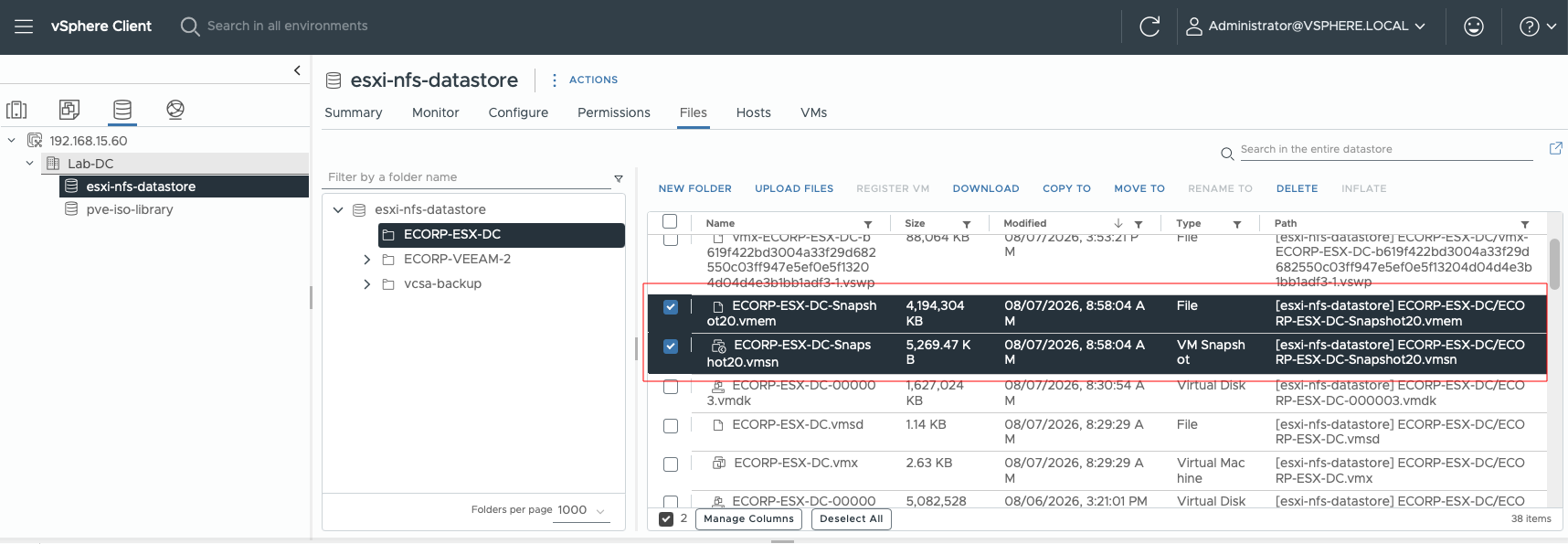 Downloading domain controller snapshot memory files (.vmem and .vmsn) from the datastore